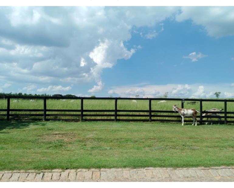 Foto de TERRENO E CONSTRUÇÃO HARAS LARISSA MONTE MOR (DIREITOS)