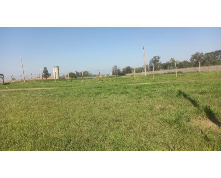 Foto de TERRENO CONDOMÍNIO PALMEIRAS IMPERIAIS SALTO