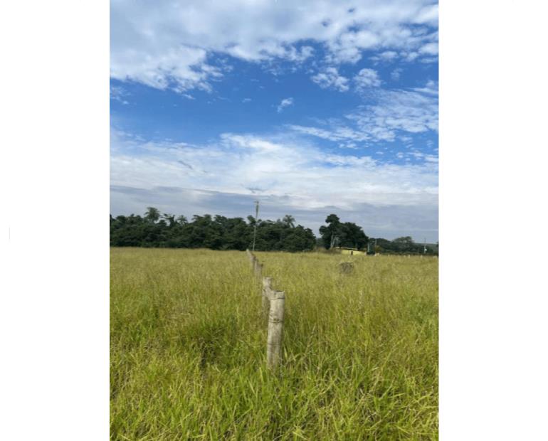 Foto de ÁREA RURAL AGUDOS/SP