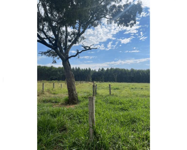 Foto de ÁREA RURAL AGUDOS/SP