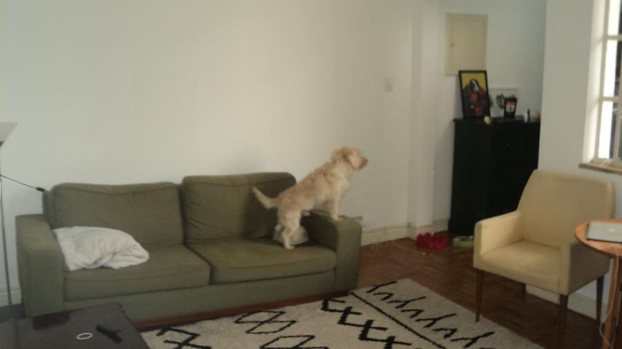 APARTAMENTO CONSOLAÇÃO SÃO PAULO APARTAMENTO CONSOLAÇÃO SÃO PAULO/SP, localizado em São Paulo - SP, bairro Consolação
